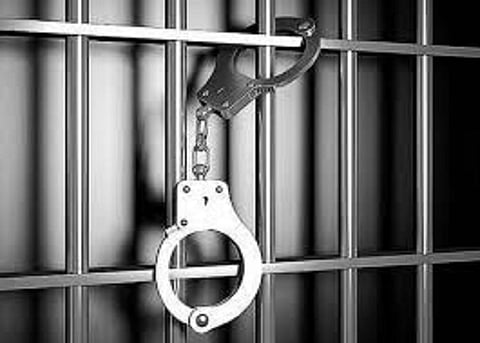 4 ஆயிரம் பேரிடம் ரூ.200 கோடிக்கு மேல் மோசடி - மூவரை காவலில் எடுத்து விசாரித்த சைபர் கிரைம் போலீஸார்