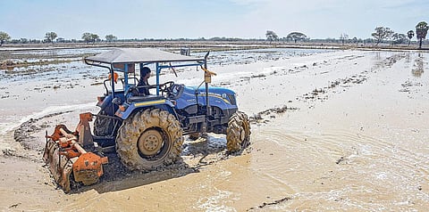 தஞ்சை மாவட்டம் நெய்வாசல் பகுதியில் டிராக்டர் மூலம் வயலை உழுது, சம்பா நடவுக்கு தயார் செய்யும் விவசாயிகள். படம் : ஆர்.வெங்கடேஷ்