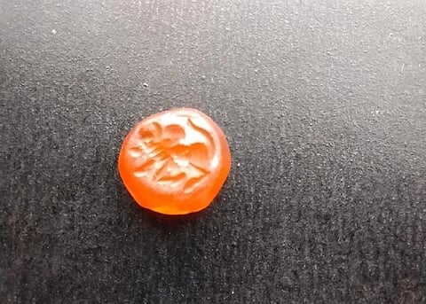 அகழாய்வில் கண்டெடுக்கப்பட்ட சீறும் காளை உருவத்துடன் கூடிய சூதுபவள மணி