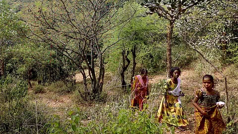 வளர்ச்சித் திட்டங்கள் பழங்குடியினருக்கும் பயனளிக்க வேண்டும்!