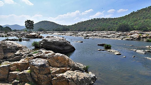 மேகேதாட்டு அணை விவகாரம்: கர்நாடகாவுக்கு மத்திய அரசு அனுமதி தரக்கூடாது - அன்புமணி, ஜி.கே.வாசன் வலியுறுத்தல்