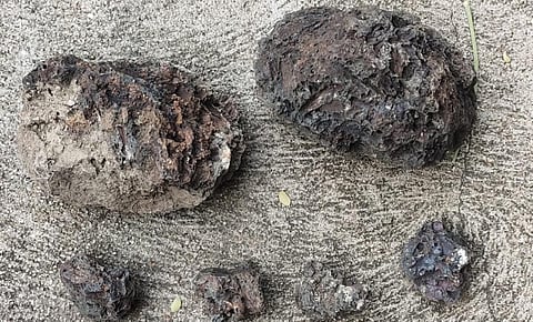 வாணியம்பாடி அடுத்த குட்டூர் கிராமத்தில் கிடைக்கப் பெற்ற பழங்கால ஓடுகள், சுவடுகள்.