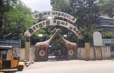 வெள்ளி விழா காணும் மதுரை ராஜாஜி பூங்காவுக்கு 2கே கிட்ஸிடம் வரவேற்பு இல்லாதது ஏன்?