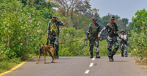 பிரதிநித்துவப்படம்