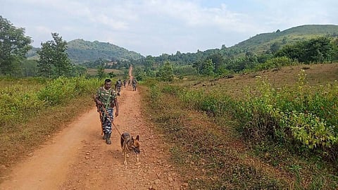 பிரதிநிதித்துவப்படம்