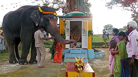 யானை முகத்னோனுக்கு யானைகள் பூஜை: முதுமலையில் சதுர்த்தி விழாவை ரசித்த சுற்றுலாப் பயணிகள்