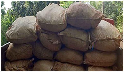 பறிமுதல் செய்யப்பட்ட மஞ்சள் மூடைகள்