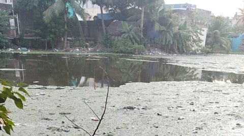 வேளச்சேரி ஏரியில் விடப்படும் கழிவுநீர்