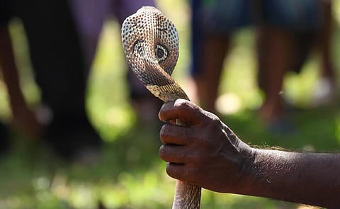 கோப்புப் படம்