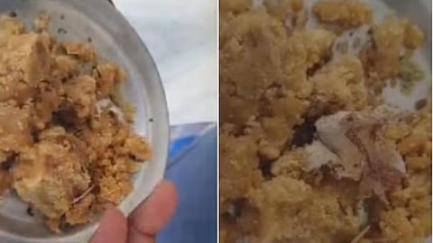 திருப்பதி லட்டு பிரசாதத்தில் புகையிலை? - தெலங்கானா பக்தர் குற்றச்சாட்டு