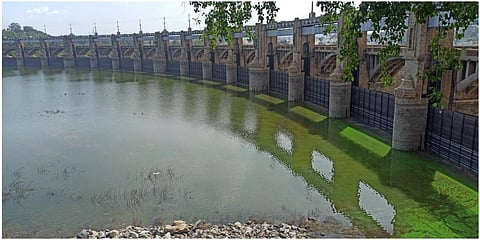 மேட்டூர் அணை நீர்மட்டம் 99.79 அடியாக சரிந்த நிலையில், இடதுகரையில் உள்ள 16 கண் மதகு பகுதி கீழ் நீர் சரிந்து காணப்பட்டது.