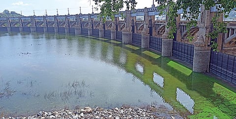 மேட்டூர் அணை நீர்மட்டம் 99.79 அடியாக சரிந்த நிலையில், அணையின் இடதுகரையில் உள்ள 16 கண் மதகு பகுதியில் தண்ணீர் குறைந்து காணப்பட்டது.