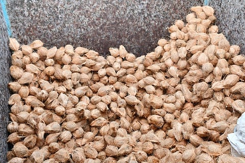 மதுரையில் ஒரு கிலோ தேங்காய் ரூ.60 முதல் ரூ.70-க்கு விற்பனை: விலை உயர்வுக்கு காரணம் என்ன?