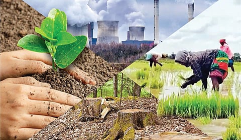 சுற்றுச்சூழல் அக்கறையின் நதிமூலமும் இன்றைய நிலையும் | கூடு திரும்புதல் 20