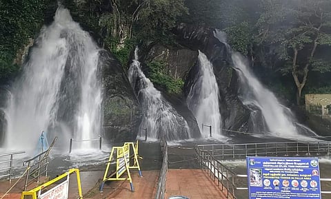 தென்காசியில் பலத்த மழை: குற்றாலம் அருவிகளில் வெள்ளப்பெருக்கு