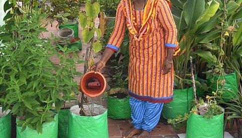 தமிழக அரசின் தோட்டக்கலைத் துறை சார்பில் ஒரு மாடி தோட்ட ‘கிட்' ரூ.450-க்கு விற்பனை: 50% மானிய விலையில் தரப்படுகிறது