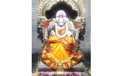 வேண்டும் வரம் அருளும் நவராத்திரி வழிபாடு 3: வாராகி திருக்கோலம்