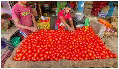 கோப்புப் படம்