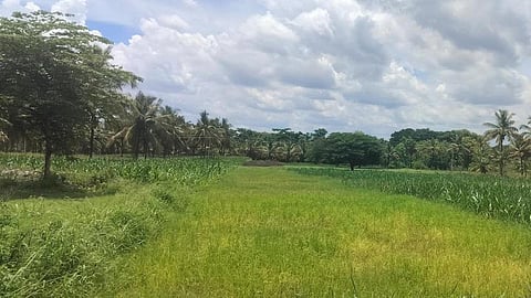 கோப்புப்படம்