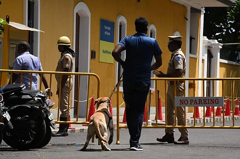 படங்கள்: எம். சாம்ராஜ்