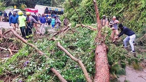 கொட்டி தீர்த்த பலத்த மழை: குன்னூர் மலைப்பாதையில் மண்சரிவு; மரங்கள் முறிந்து விழுந்தன