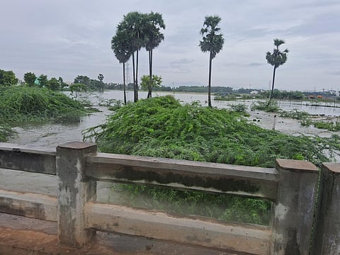 மதுரை வண்டியூர் கண்மாய் உபரிநீர் கால்வாயில் உடைப்பு - வெள்ளக்காடான வயல்வெளி, குடியிருப்புகள்