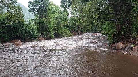 மேற்கு தொடர்ச்சி மலைப் பகுதியில் கனமழை: நீர்நிலைகளுக்கு நீர்வரத்து அதிகரிப்பால் விவசாயிகள் மகிழ்ச்சி