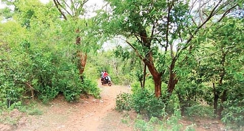 கல்வராயன் மலைப்பகுதியின் மேல் பாச்சேரி கிராமம் (கோப்புப் படம்)