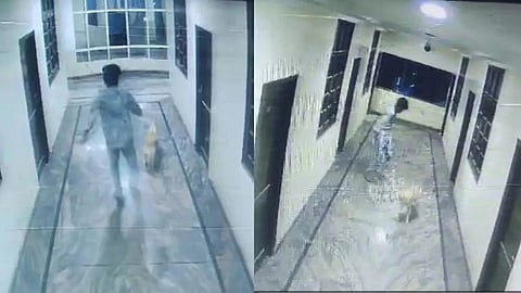 ஹைதராபாத்தில் நாய் துரத்தியதால் 3-வது மாடியிலிருந்து குதித்தவர் உயிரிழப்பு