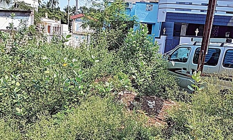 வரதராஜபுரம் ஏரி உபரி நீர் வாய்க்கால் பகுதியில் ஆக்கிரமிப்பு செய்து கட்டப்பட்டுள்ள வீடுகள்.