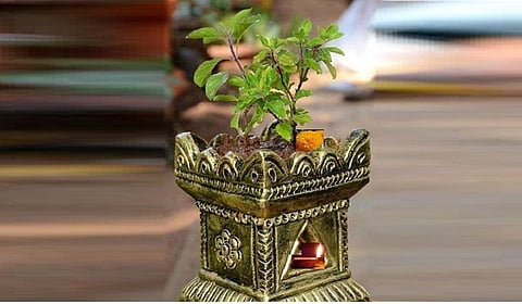 துளசி வழிபாடு