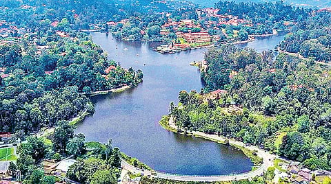 கொடைக்கானலில் சர்வீர் ஹென்றி லெவின்ஜ் உருவாக்கிய நட்சத்திர வடிவிலான ஏரி