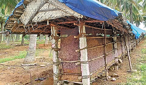 தேனி அருகே கோபாலபுரத்தில் குடில்களில் இருப்பு வைக்கப்பட்டுள்ள வெங்காயம்.
