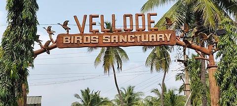 வெள்ளோடு பறவைகள் சரணாலயப் பகுதியில் பறவைகளுக்காக பட்டாசைத் தவிர்க்கும் கிராம மக்கள்