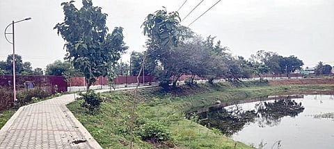 தூர்வாரி சீரமைக்கப்பட்ட வண்ணான் குளம் புதுப்பொலிவுடன் காட்சியளிக்கிறது.