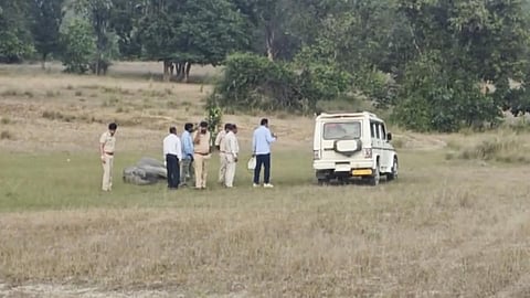 பிரதிநிதித்துவப்படம்