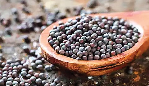 கடுகு வெடிப்பது ஏன்? | டிங்குவிடம் கேளுங்கள்