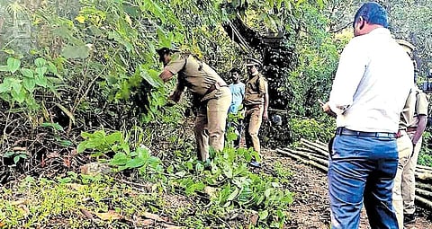 ஐயப்ப பக்தர்களுக்காக சத்திரம் வனப்பகுதியில் உள்ள புதர்களை சீரமைக்கும் பணியில் ஈடுபட்டுள்ள கேரள வனத்துறையினர்.