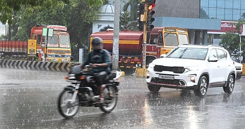 இடம்: தூத்துக்குடி | படம்: என்.ராஜேஷ்