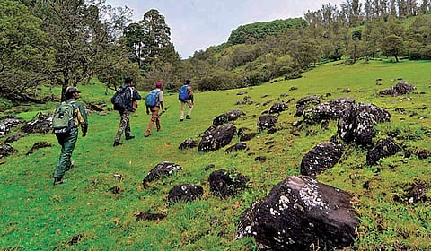 தமிழகத்தில் ‘மலைக்க’ வைக்கும் மலையேற்ற கட்டணம்!
