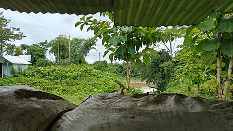 கோப்புப்படம்