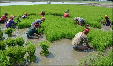 கோப்புப் படம்