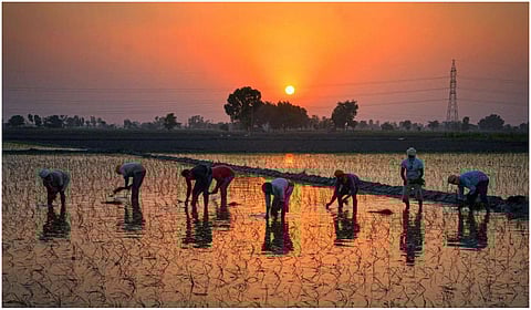 கோப்புப் படம்