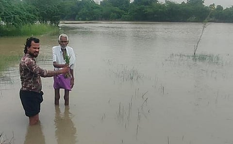 கனமழை பாதிப்பு: தமிழகத்தில் பயிர் சேதம் கணக்கிடப்பட்டு வருவதாக அமைச்சர் தகவல்