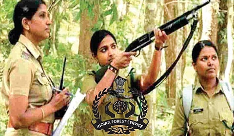 காட்டைக் காப்பாற்றும் பணி | இதோ வேலை!