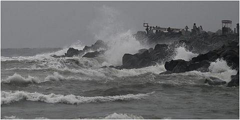 இடம்: காசிமேடு மீன்பிடி துறைமுகம், சென்னை | படம்: பி.ஜோதி ராமலிங்கம்