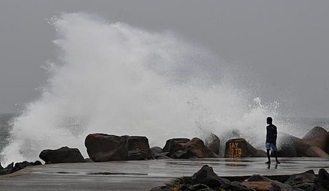 படம்: சத்தியசீலன்