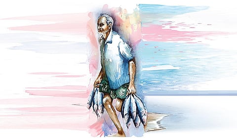 சுறாப்பார் எனும் இயற்கைப் புதையல் : கூடு திரும்புதல் 25