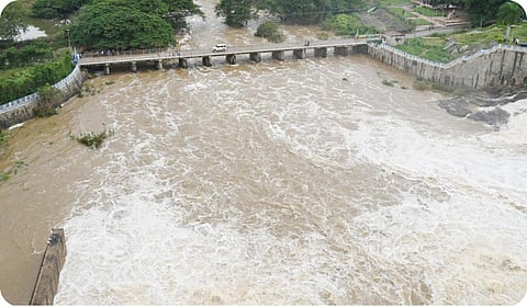 சாத்தனூர் அணையில் இருந்து திறந்துவிடப்பட்ட தண்ணீர், தென்பெண்ணை ஆற்றில் பெருக்கெடுத்து ஓடியது.