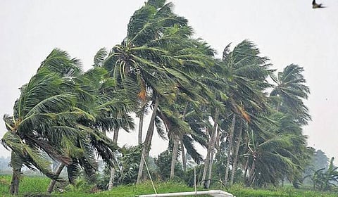 புயற்காற்று